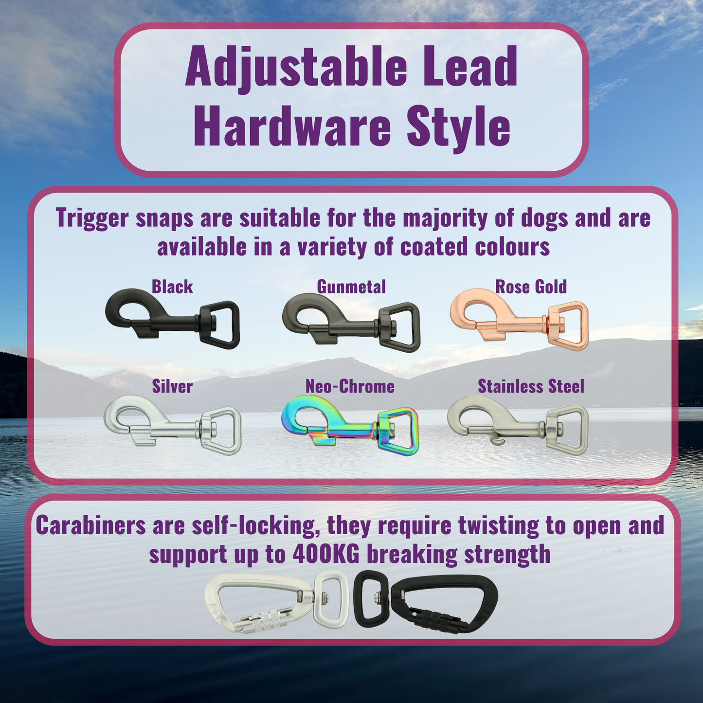 Adjustable Dog Lead