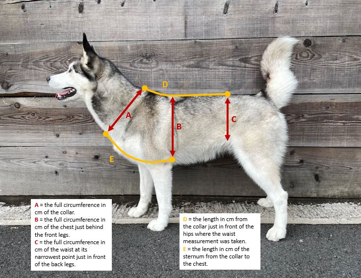 Anti-Escape Harness Pro [COBRA®]