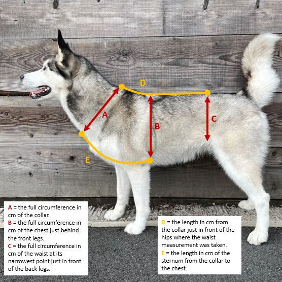 Waterproof Anti-Escape Dog Harness - Adjustable