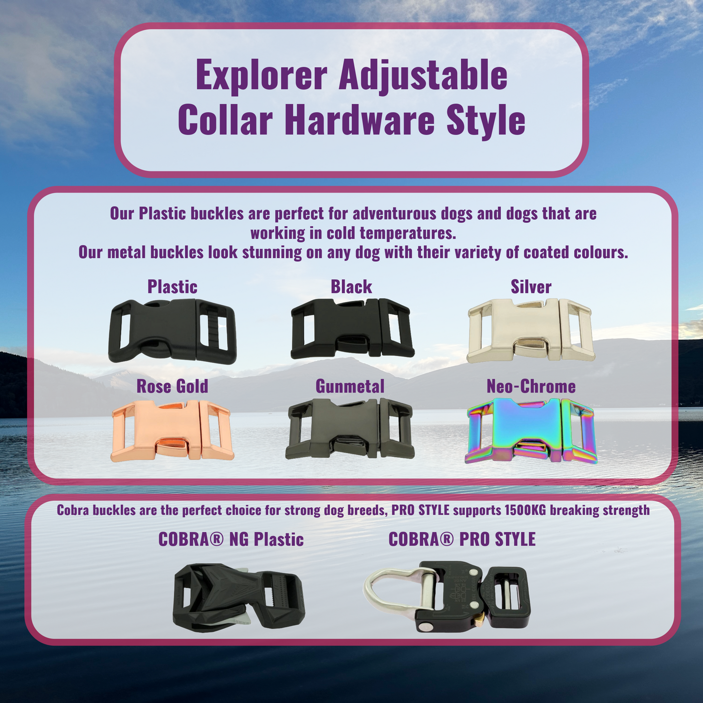 Explorer Adjustable Dog Collar