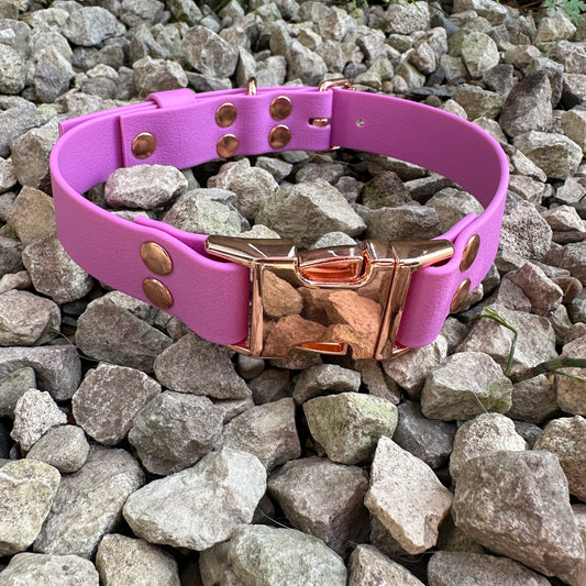 Waterproof Quick Release Dog Collar