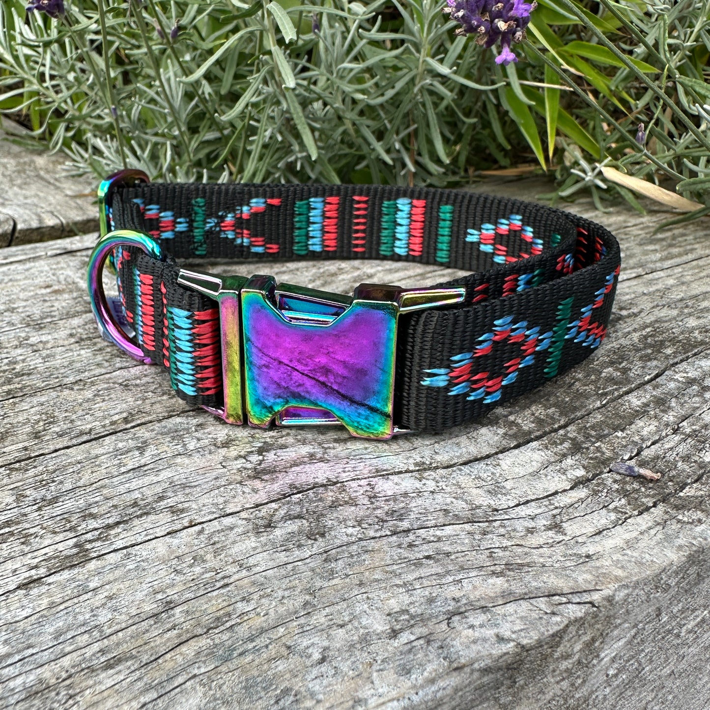 Explorer Adjustable Dog Collar