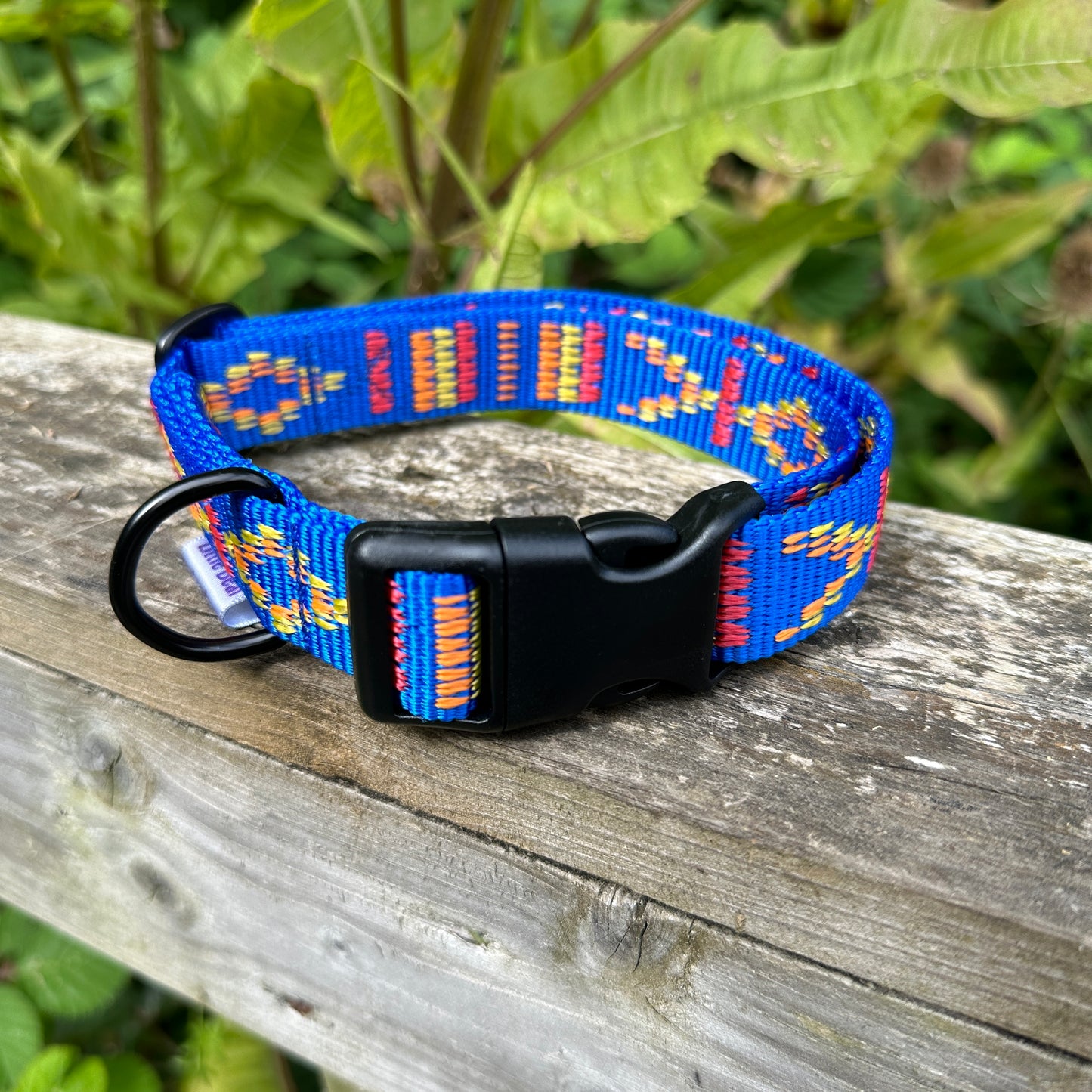 Explorer Adjustable Dog Collar