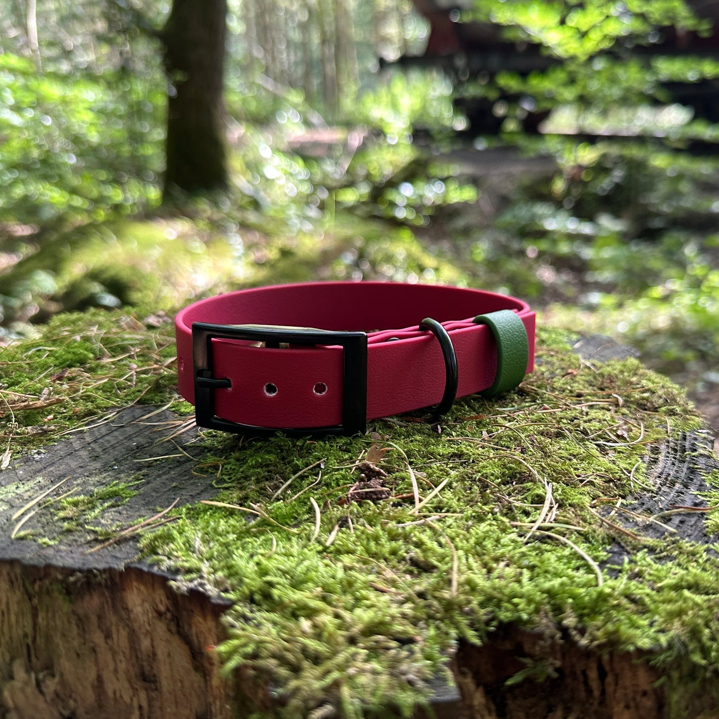 Wine & Olive Waterproof Dog Collar