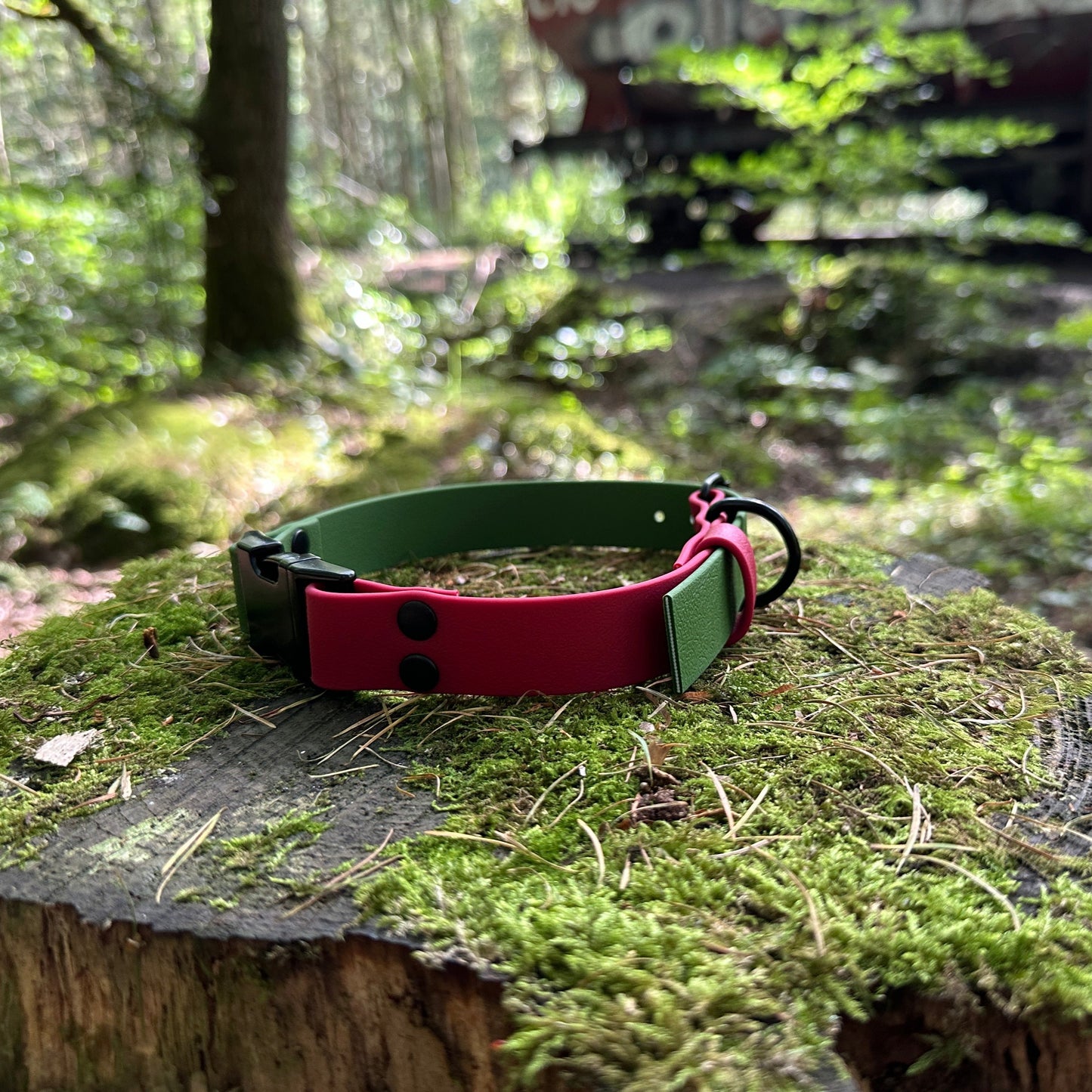 Wine & Olive Waterproof Quick Release Dog Collar