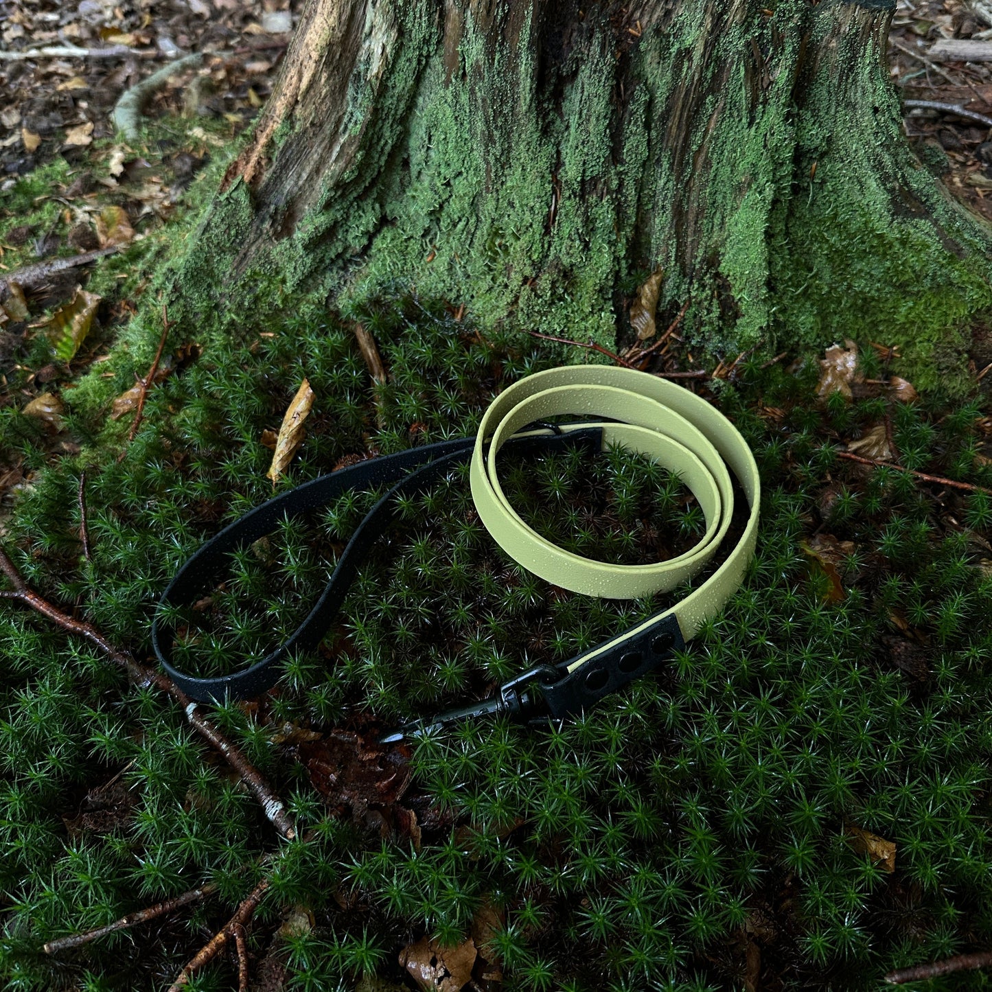 Khaki & Black Waterproof Dog Lead