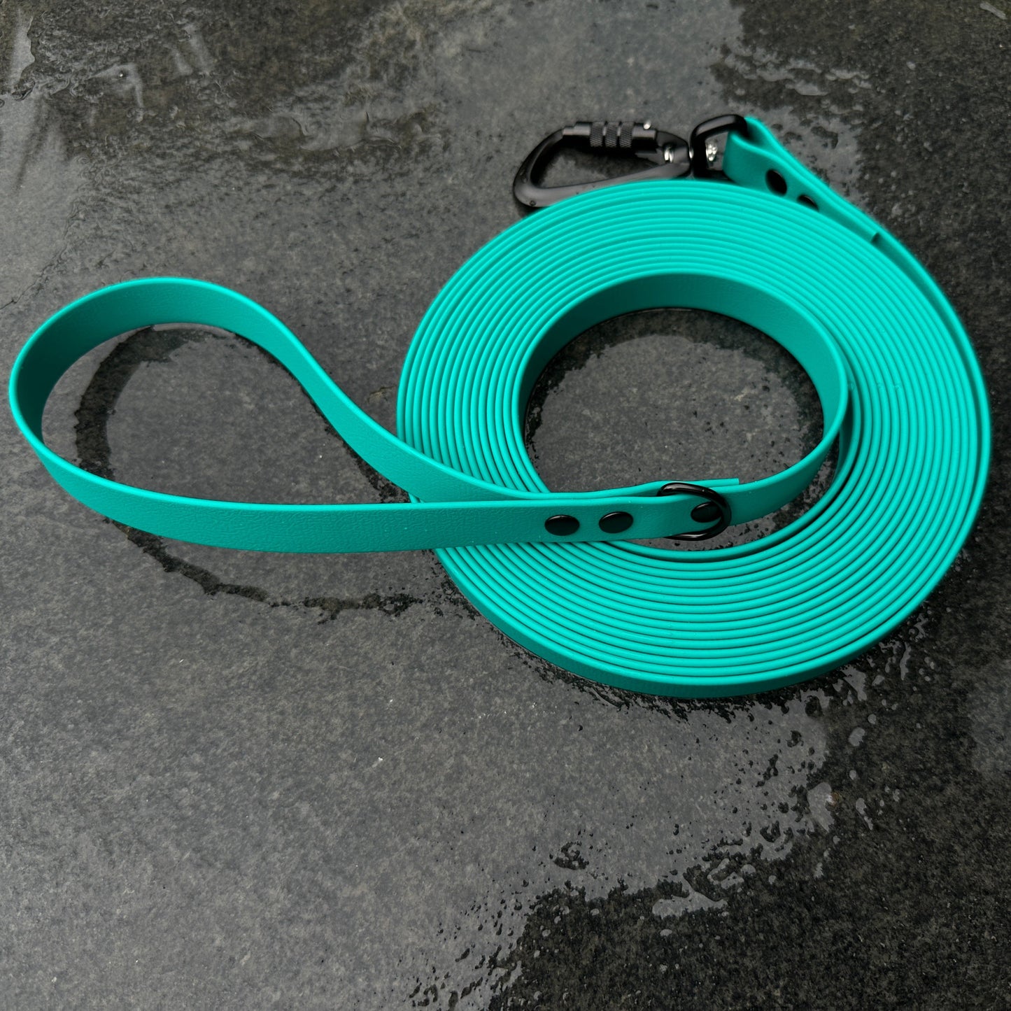 Waterproof Longline - Large Size Dogs (20mm width)