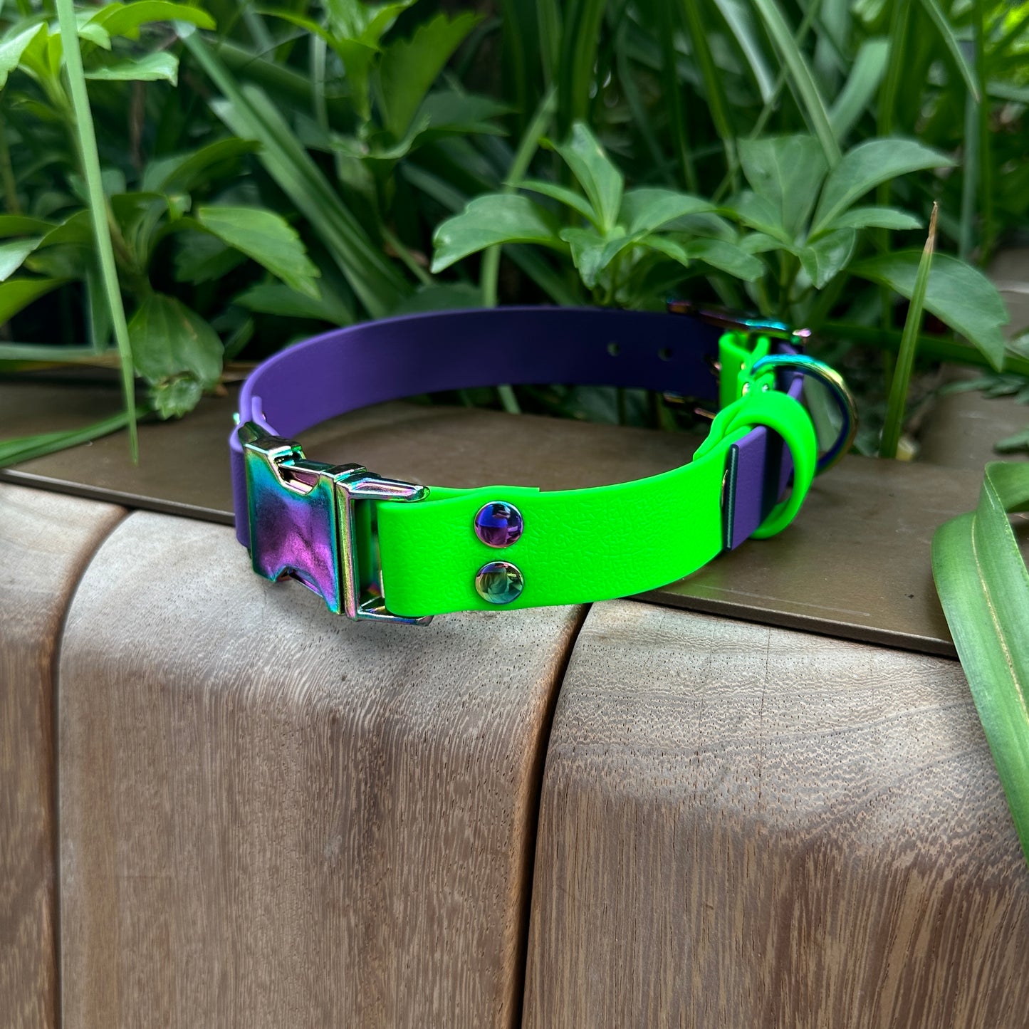 Neon Green & Purple Waterproof Quick Release Dog Collar & Dog Lead Set