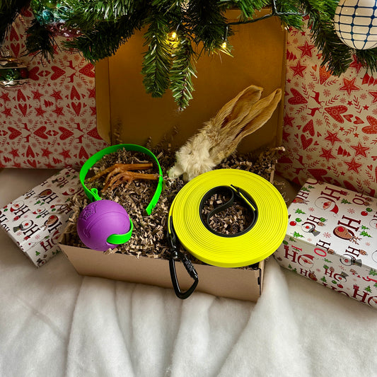 Dog Gift Box - Train and Play!