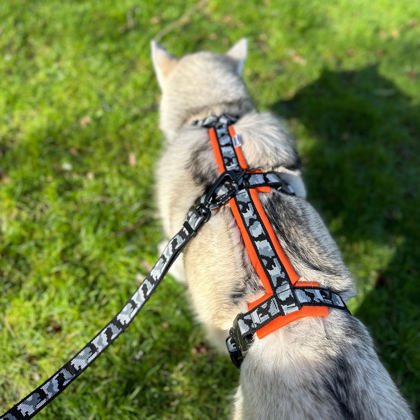 Anti-Escape Harness Pro [COBRA®]