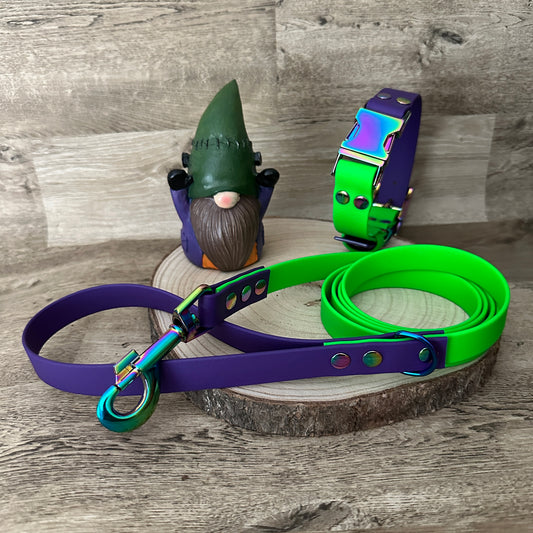 Neon Green & Purple Waterproof Quick Release Dog Collar & Dog Lead Set