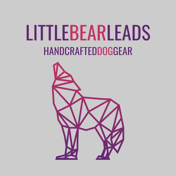 Little Bear Leads 