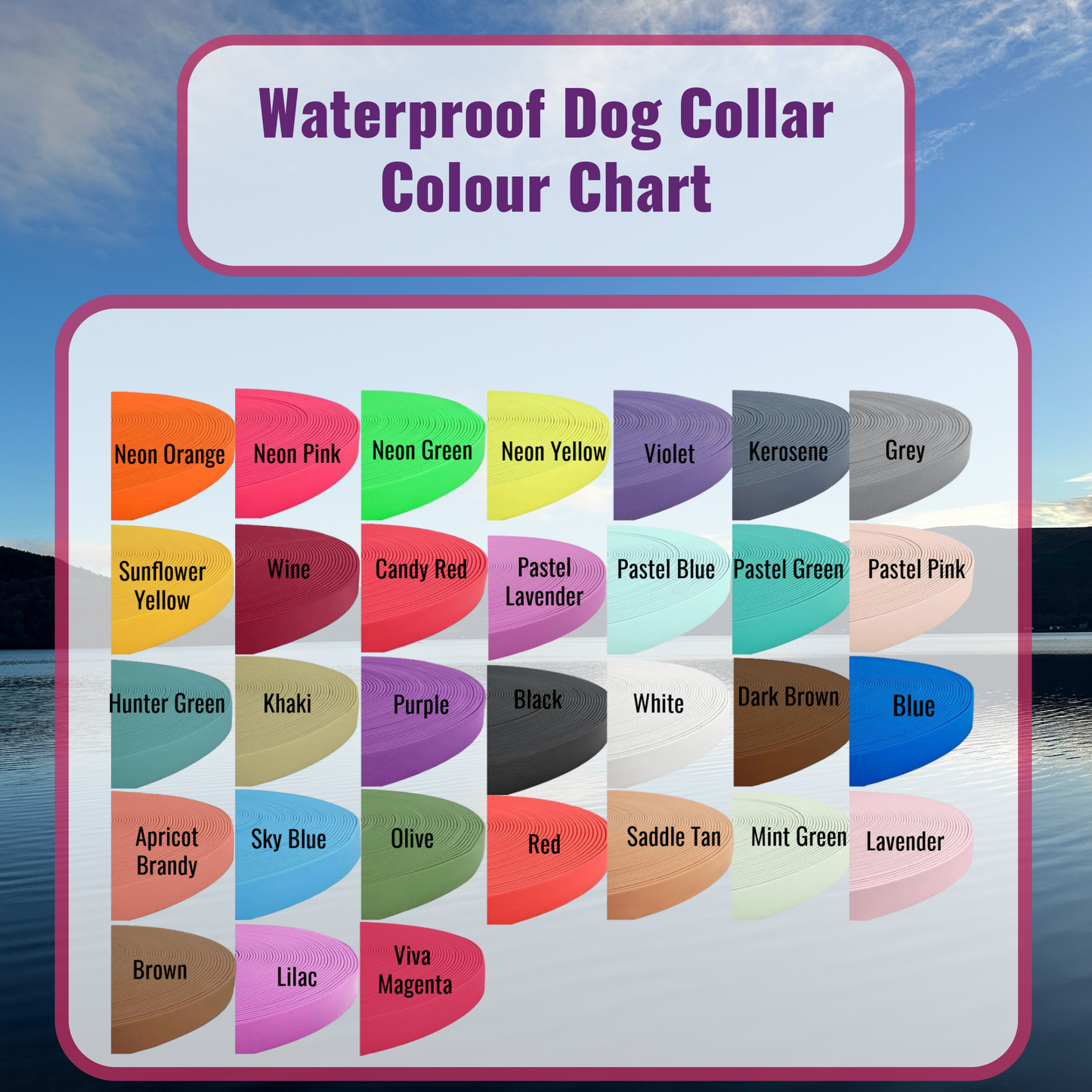 Waterproof Dog Collar