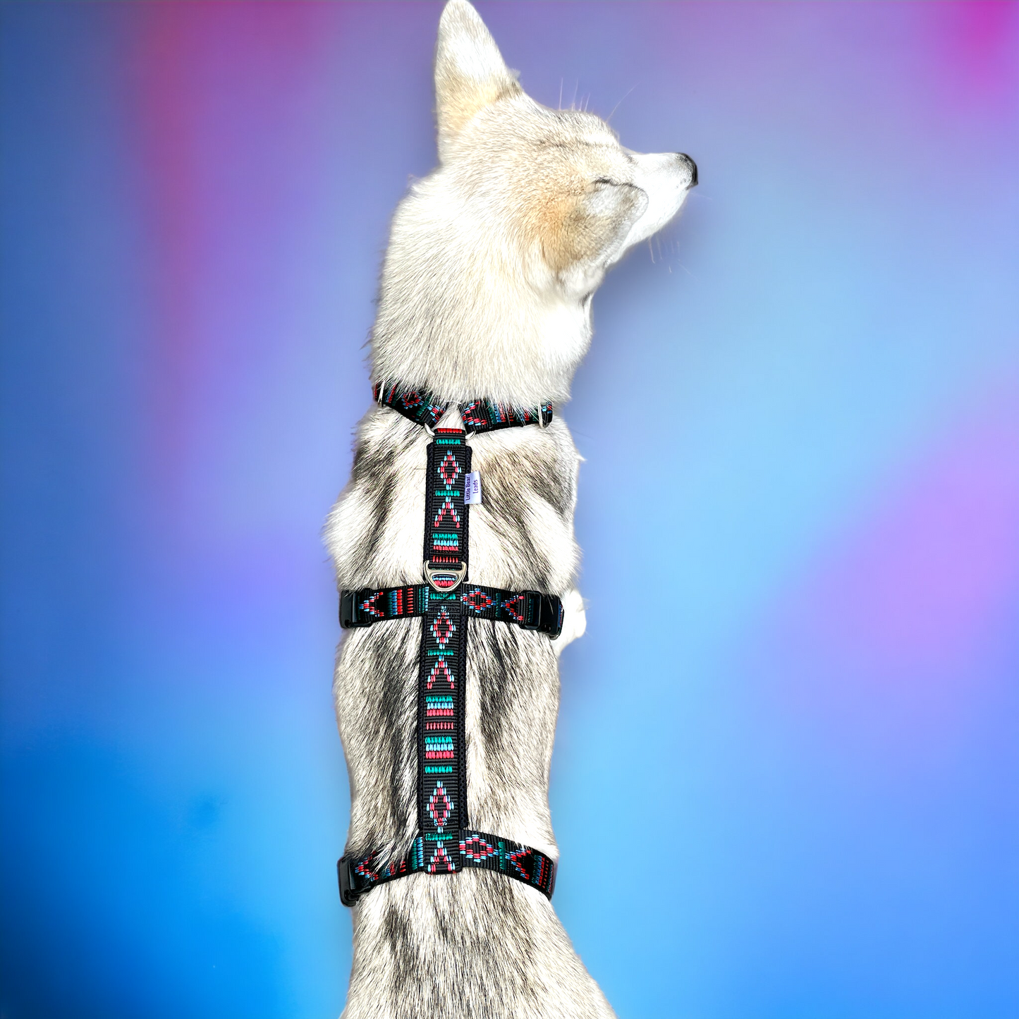 Anti-Escape Dog Harness - Adjustable & Padded