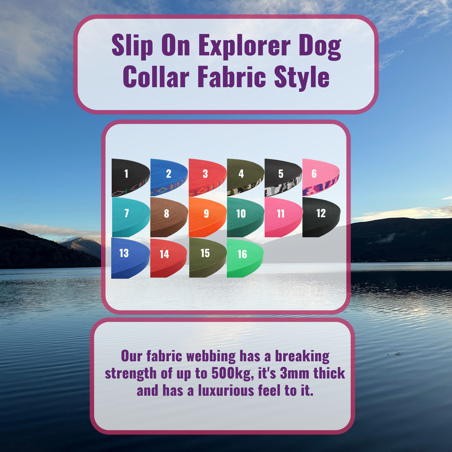 Slip on Explorer Dog Collar