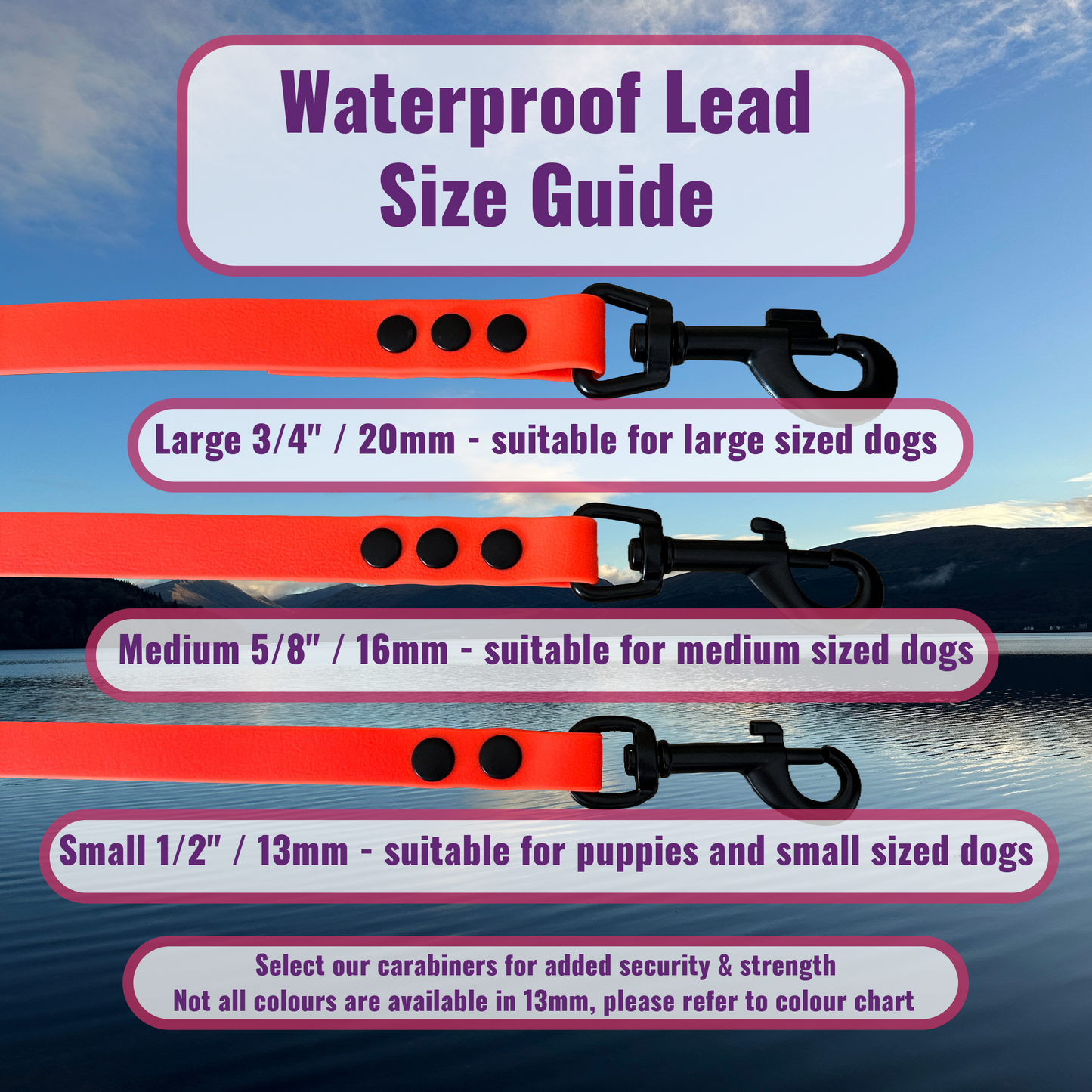 Waterproof Longline - Medium Size Dogs (16mm width)