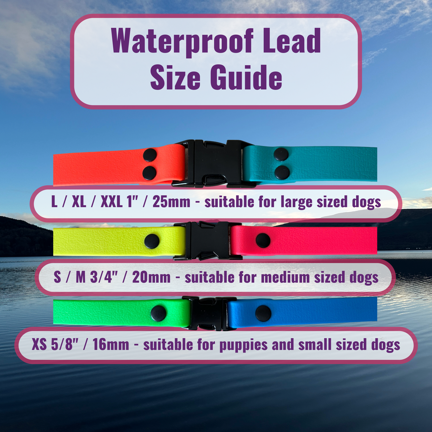 Waterproof Quick Release Dog Collar