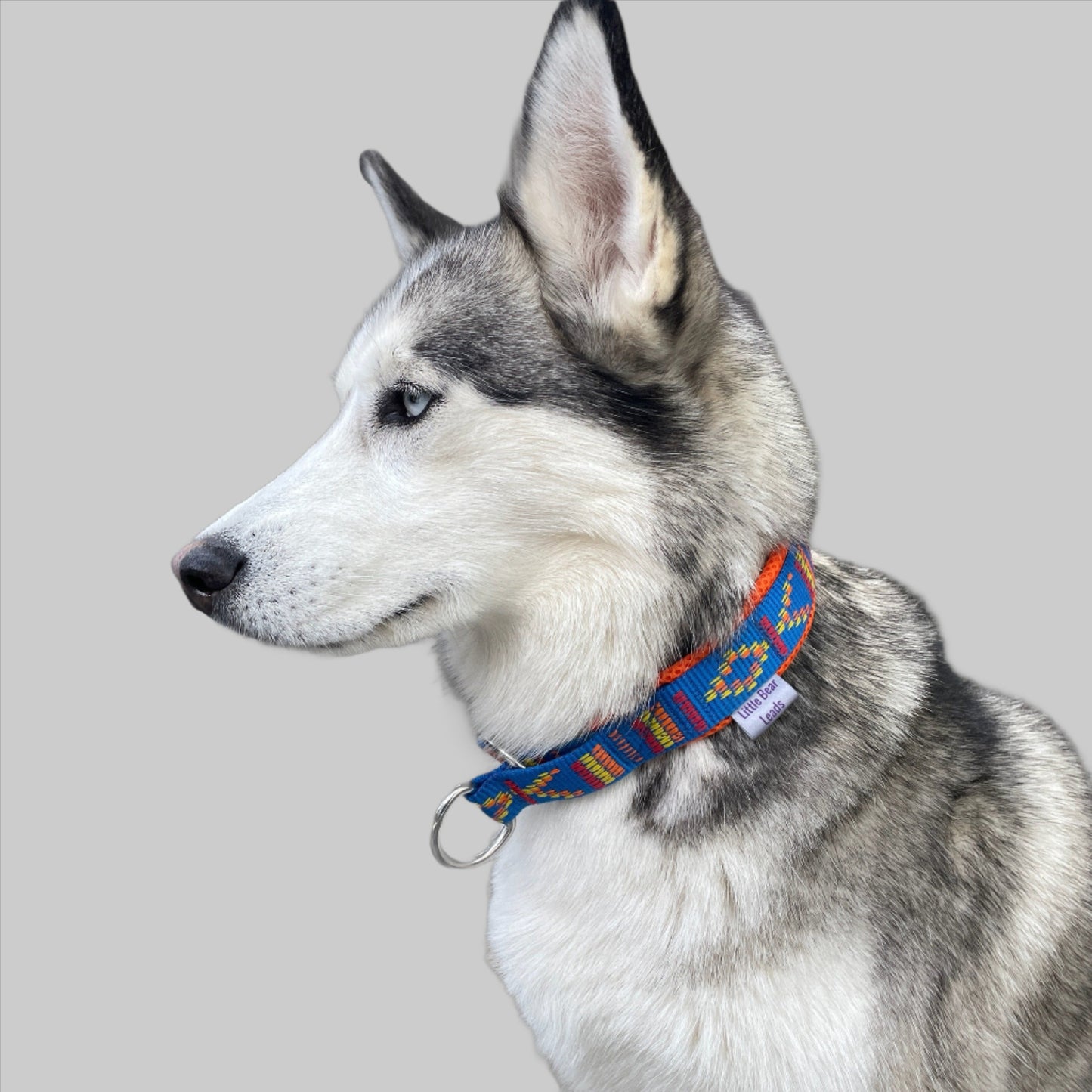 Slip on Explorer Dog Collar